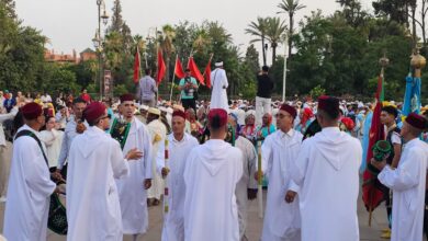 صورة مهرجان الفنون الشعبية بمراكش .. أسراب زاجلة تعبر من قصر البلدية إلي قصر البديع لتروي حكاية وطن