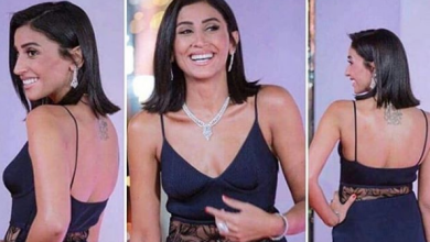 صورة النجمة المصرية دينا الشربيني تتخذ إجراءات قانونية ضد شاب نشر لها صورا مفبركة وأشرف زكي يتوعد الجاني