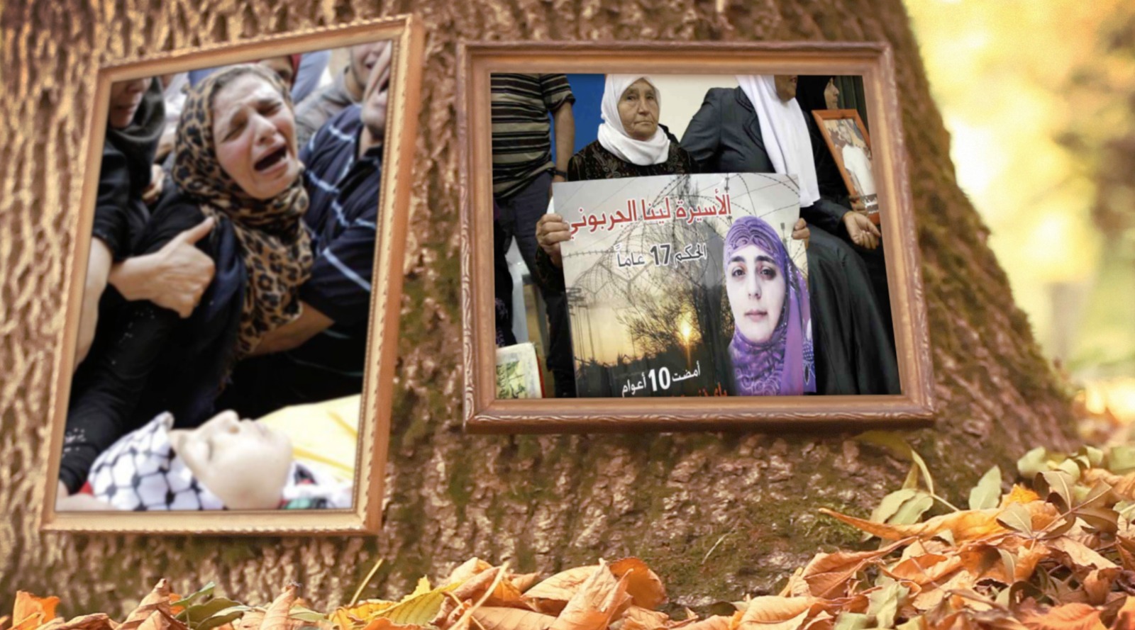 صورة تلفزيون “فلسطيني” يطلق “يامو” تكريماً للأم الفلسطينية والعربية الصابرة
